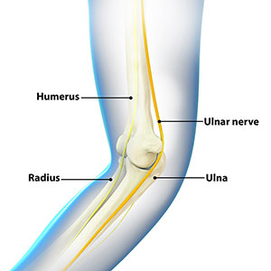 ULNAR NERVE - New